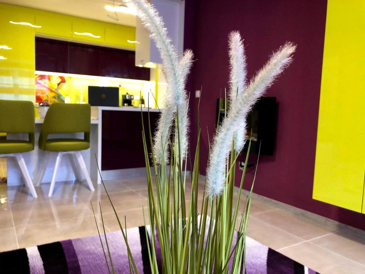 Apartment Ultraviolet Relax